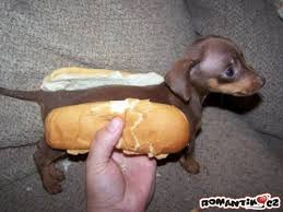 Hot dog!