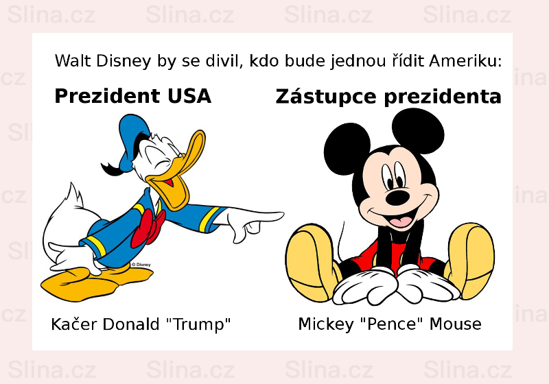 USA – Donald a Mouse